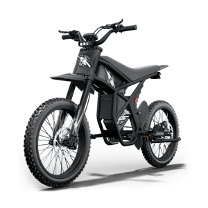 Riding Times GT73 48V/36Ah 2400W Off-Road Electric Dirt Bike