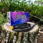 Lightning Fast Adjustable E-Bike Charger | By Electro & Company