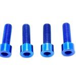 Titanium Bash Guard/ Skid Plate Bolts - Surron LBX and Segway (Set of 4)